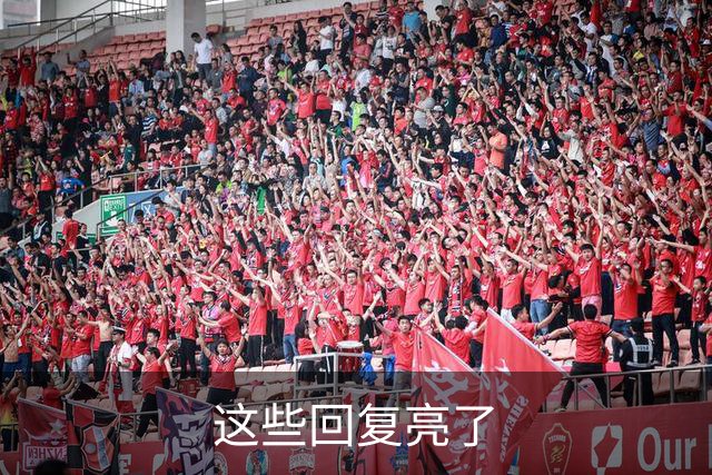 这些回复亮了